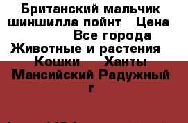 Британский мальчик шиншилла-пойнт › Цена ­ 5 000 - Все города Животные и растения » Кошки   . Ханты-Мансийский,Радужный г.